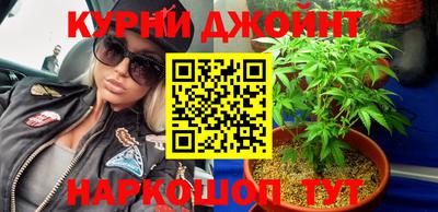 сатива Жуковский