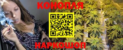 сатива Жуковский