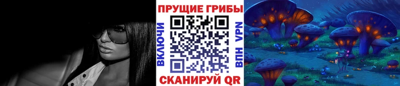 MEGA вход  Кунгур  Псилоцибиновые грибы ЛСД  цена наркотик 