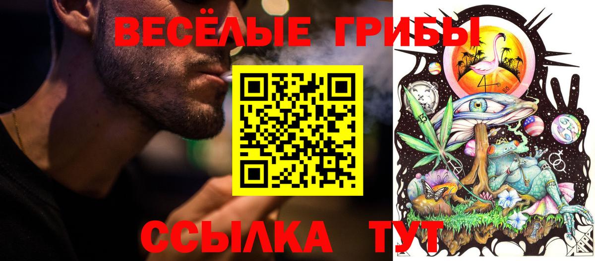 Галлюциногенные грибы MAGIC MUSHROOMS  Псилоцибиновые грибы MAGIC MUSHROOMS  Вход с VPN  Кунгур 