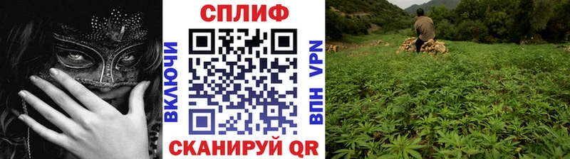 Бошки марихуана гибрид  даркнет сайт  Кунгур 